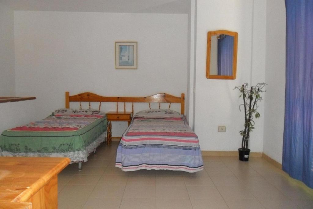 Apartamentos Alondras Park Costa Del Silencio Exterior photo